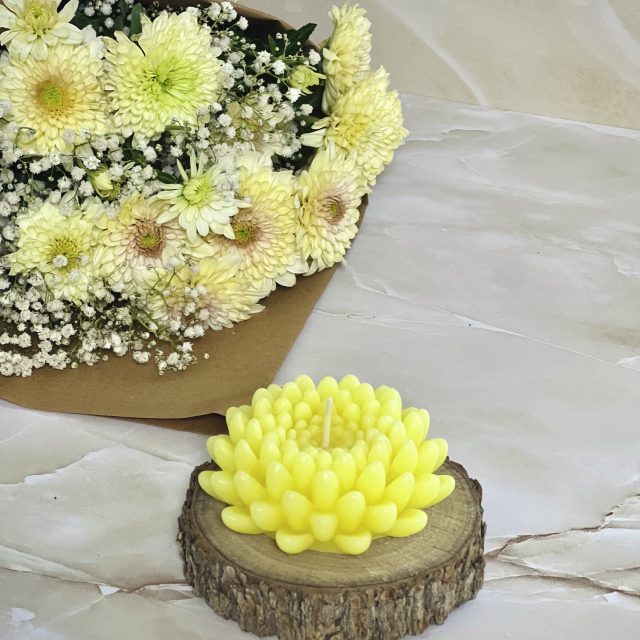 شمع گل داوودی